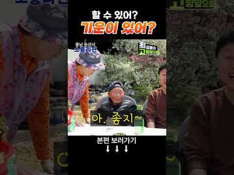 할 기운 남았어 [소룡리마을] #shorts