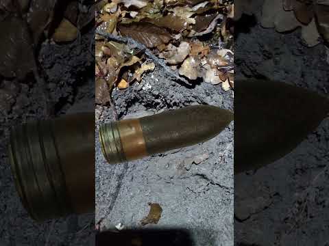 Gefahr am Führerhauptquartier - Forschungsprojekt mit dem Metalldetektor #shorts