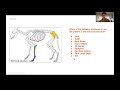 Identifying Fossil Relationships and Structures