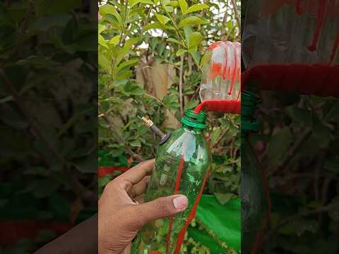 இப்படி கூட Spray Paint செய்யலாமா!🔥 💯