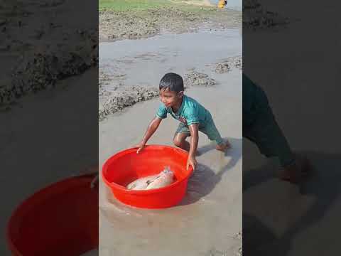 Amazing Hand Fishing Video #Fish