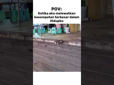#kucingoyenbarbar #cat #oyenbesar #catlover #kucinganggoralucudanimut #oyenbarbar #kucing