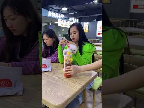 🥰🐶🥰 मिलो मेरी खूबसूरत और प्यारी सी पप्पी से 😍🐶🥰#trending #shortvideo #puppy