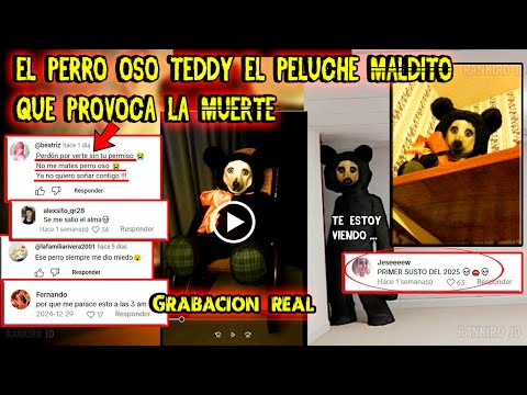 El PERRO OSO TEDDY el PELUCHE MALDITO que PROVOCA la MUERTE...