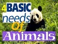 Basic Needs of Living Things