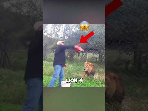 This Guy Made a HUGE Mistake! ?
