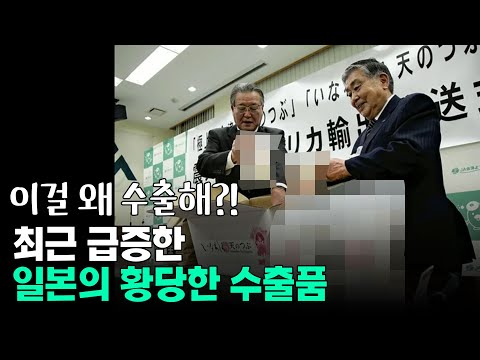 최근 급증한 일본의 황당한 수출품