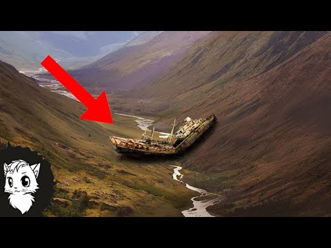 НАХОДКИ КОТОРЫЕ СТАВЯТ НАУКУ В ТУПИК [Белый кот]