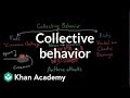 Understanding Collective Behavior in Sociology
