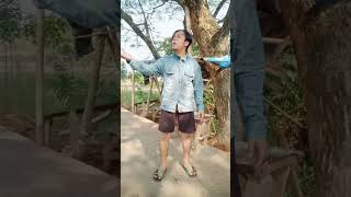 kumpulan video kocak dan gokil @suciptomartinreal part 138
