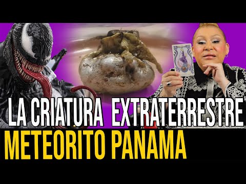 CRECE CRIATURA REAL EN UN METEORITO QUE CAYO EN PANAMA