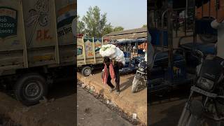 गौसेवा ही सर्वश्रेष्ठ है। 🥰👏#गौसेवा
