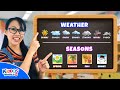Weather and Seasonal Activities