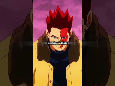 Le Héros INCANDESCENT ENDEAVOR ! #mhacommunity #anime #manga #mha #endeavor #allmight #allforone