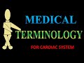 Cardiology Concepts and Terminology