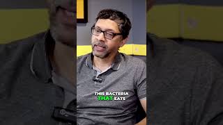 Unlocking the Power of Lacto Fermentation for a Healthy Gut @DrPal