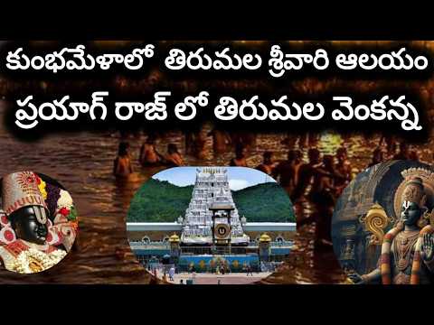 కుంభమేళాలో తిరుమల శ్రీవారి ఆలయం/tirumala model temple in kumbhamela/prayagraj venkateshwara temple