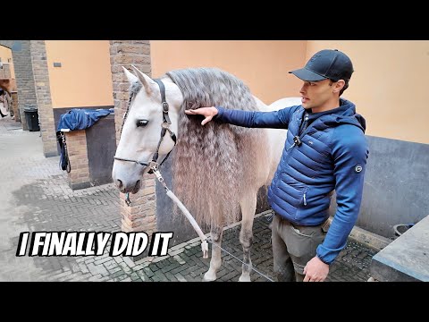 AFTER 10 YEARS I CUT MY HORSES HAIR OFF WHICH WAS DOWN TO HIS KNEES