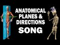 Understanding Human Body Planes and Directions