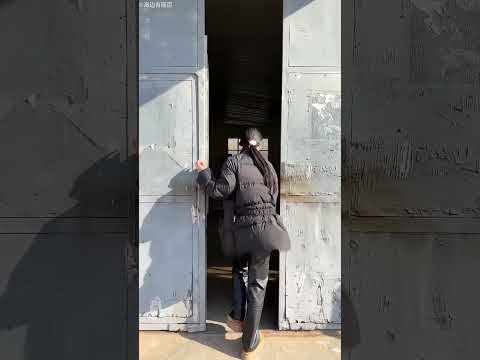 "Cat-க்கு Dream Aquarium Gift! 🐱💦 Owner செஞ்ச Surprise Super Cute 😍 #CatLover #CreativeIdea"