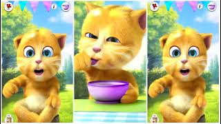 Talking Ginger Cat Eating 🍔🍔🍔🥥🥥🥥🍔🍔🍔