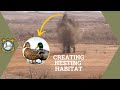 Yellowtail Habitat Management Overview