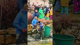 V Bukovně u Boleslavi budou mít na štědrý večer kapry z vlastního rybníčku. Reportáž připravujeme.