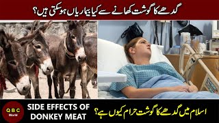 Side Effects of Donkey Meat | Why Donkey Meat is Haraam in Islam ? 100KG Donkey Meat in Islamabad