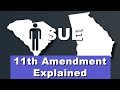 Sovereign Immunity and Constitutional Cases