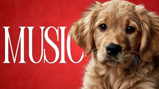 🔴 Music To Relax Your Dog - Endless Relaxation Playlist