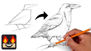How To Draw a Raven | Sketch Workshop