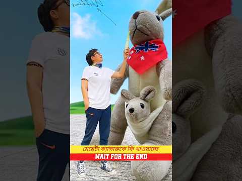 মেয়েটা ক্যাঙ্গারুকে কি খাওয়াচ্ছে ?~miniwood toy woodworking art and skill ? #shortsfeed