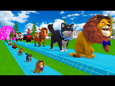 Paint & Animals Gorilla,Cow,Tiger,Lion,Elephant,Bear Fountain Crossing Transformation Animal Cartoon