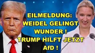 EIL: WEIDEL mit WUNDER! TRUMP hilft AfD!