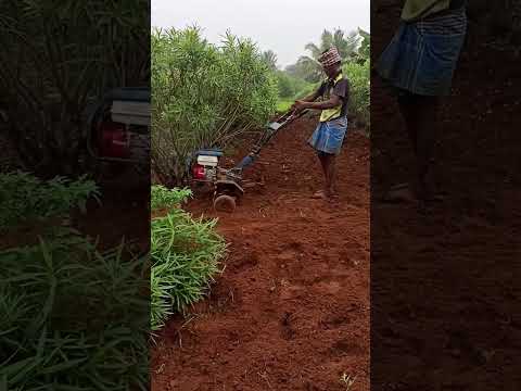 களையெடுக்கும் இயந்திரம் #shorts #videoshorts #agriculture #powerweedermachine #powerweeder