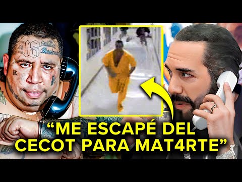 La LLAMADA Más ESCALOFRIANTE De El Pandillero Más Peligroso de El CECOT
