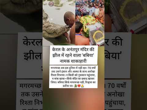"प्रसाद पर जिया बबिया: आस्था का अभूतपूर्व प्रतीक"
