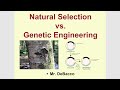 Genetic Engineering and Natural Selection