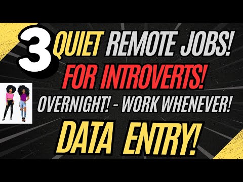 3 Quiet Remote Jobs For Introverts ( Data Entry ) Work From Home Work Whenever