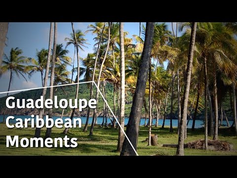 Guadeloupe - Caribbean Moments - The Secrets of Nature