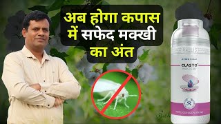 कपास में सफेद मक्खी का पक्का इलाज Clasto पूरी जानकारी  ⁨@RallisIndiaLtdCropCare⁩