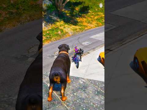 GTA V : Dogs teach us love in its purest form ?❤️ | #shorts