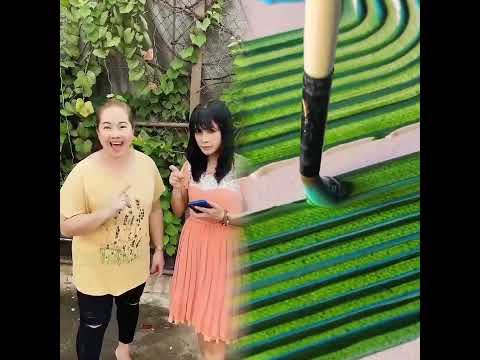 😳แผนซ้อน..ซ่อนเงื่อน‼️ #ระวัง‼️ #แม่ตาหน้าเด็ก #พี่แชมป์ #ลูกกะตา #แม่ตา #แม่ลูก #สนุก #เตือนภัย