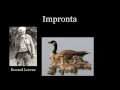 Comportamiento Animal y Aprendizaje