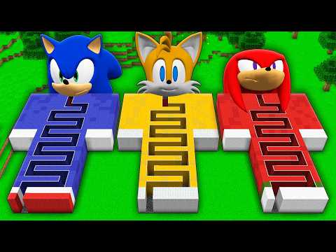 I found a SONIC TAILS MAZE vs  SONIC KNUCKLES MAZE in Minecraft ! SONIC Knuckles the Echidna !