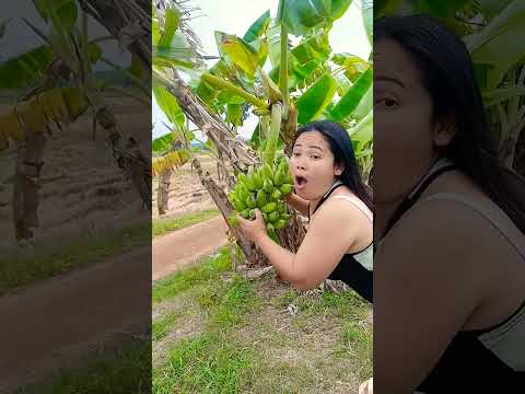 อยากกินกล้วย #ตลกฮาฮา #memeclip #comedy #funny