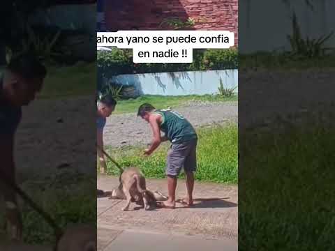 ahora Yano se puede confiar en nadie #fyp #foryou #perritos  #parati