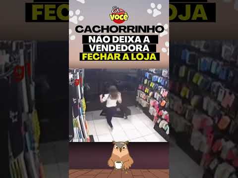 Cachorrinho não deixa vendedora fechar loja