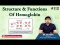 Hemoglobin Structure and Function
