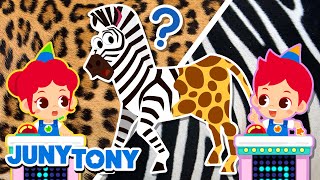 Show de Perguntas dos Animais | Adivinhe O Animal | Desenho Infantil | JunyTony em Português